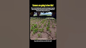 Future Farming: Robot Kills Weeds with 100% Accuracy 🌱