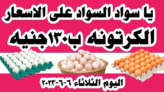 اسعار البيض اليوم سعر البيض اليوم الثلاثاء ٦-٦-٢٠٢٣ في المحلات في مصر