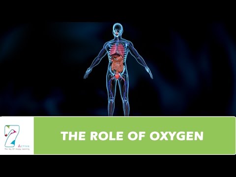 Video: Hva er oksygenets rolle i cellulær respirasjonsquizlet?