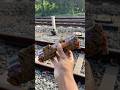 cleaning toy trains covered in dirt