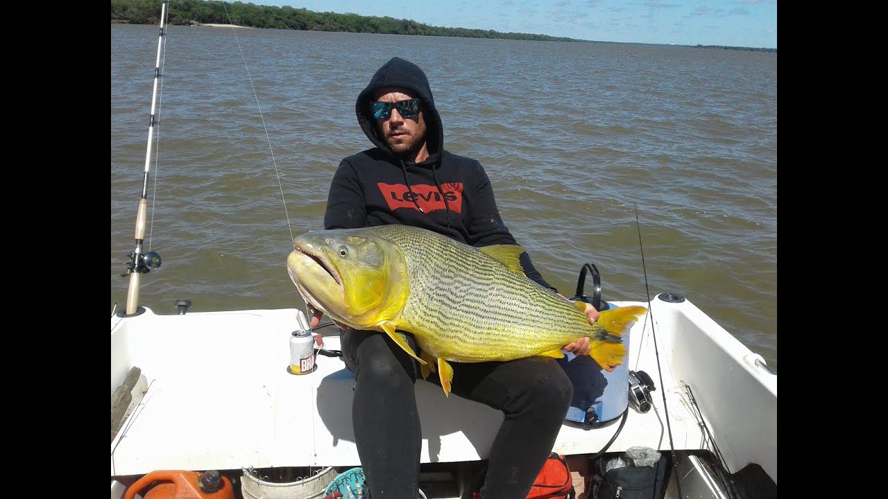 Pesca Con Anguila Viva Pesca Con Anguila Viva