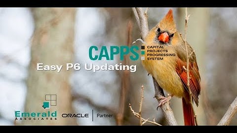 2022-04-21 - CAPPS Webinar - Make Primavera P6 Status Updates Easier and Faster