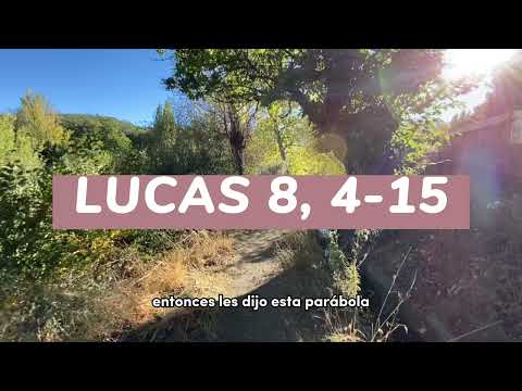 ✴️ EVANGELIO del 23 de SEPTIEMBRE 📌 PADRE GUILLERMO SERRA - LUCAS 8, 4-15