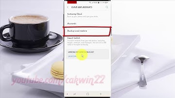Samsung Galaxy S9 : How to Back up Phone data (Android Oreo)
