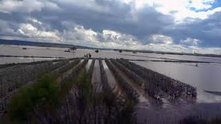 Castejón Tren Alvia Río Ebro desbordado 2018 04 12