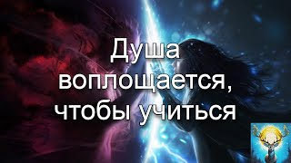 Душа воплощается, чтобы учиться. Сеанс чистки через гипноз.