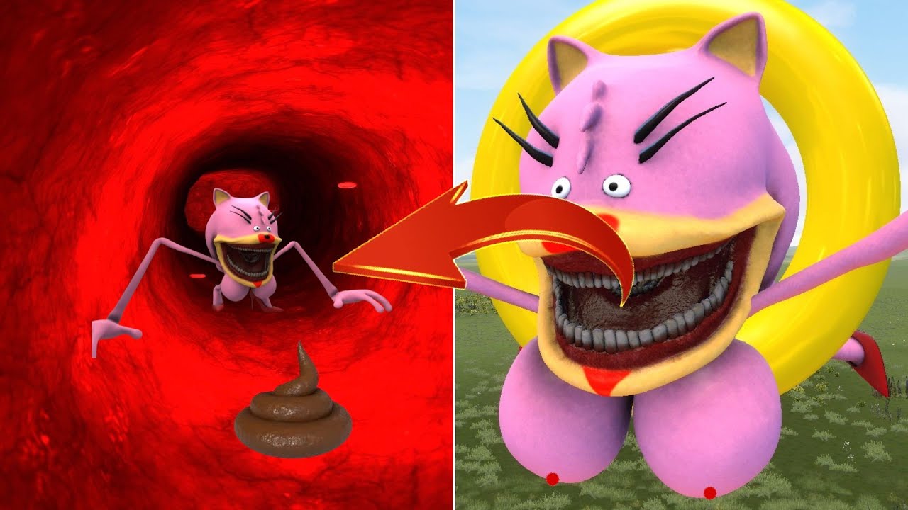 NEW WHAT'S WOMAN SONIC TAPES FAMILY INSIDE SIZE  ZOOCHOSIS (Garry's Mod!)