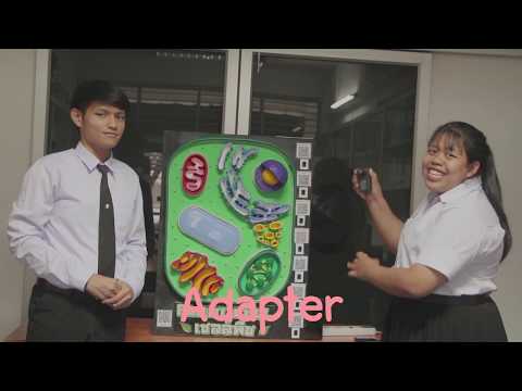 สื่อการสอนวิทยาศาสตร์ : Plant Cell เซลล์พืช