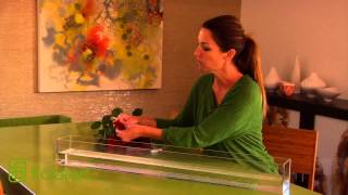 How to Make A Floating Petal Arrangement
