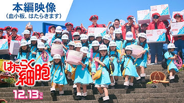 血小板、はたらきます！映画『はたらく細胞』本編映像 2024年12月13日（金）公開
