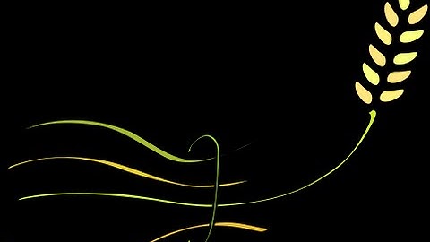 Tutorial on Sheaves in Data Analytics: Lecture 4: Data Structures as Sheaves