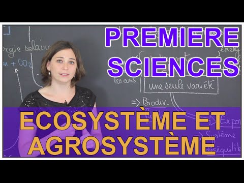 Vidéo: Quelle est la différence entre l'influent et l'effluent ?