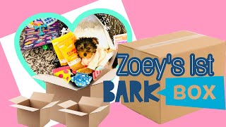 January 2022 Bark Box