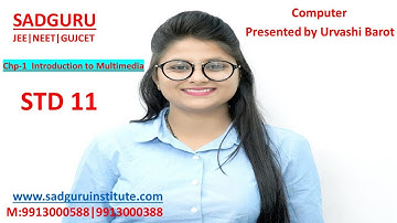 STD 11 Introduction to Multimedia |PART 1