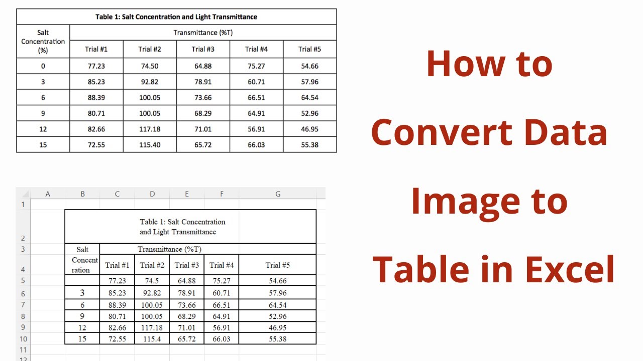 Comment convertir une image de donnes au format Excel