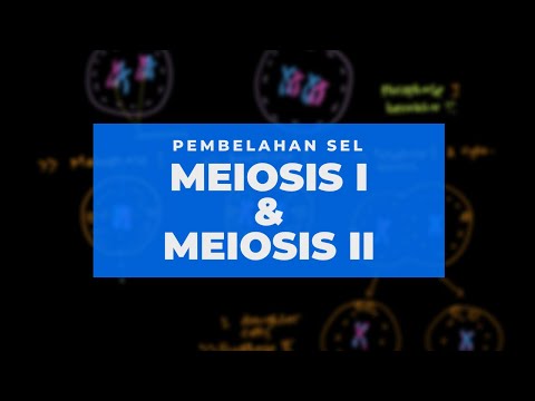 Video: Perbedaan Antara Meiosis I Dan Meiosis II