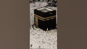 تلاوة تفوق الخيال- التلاوة المطلوبة من سورة الزمر #تلاوة_خاشعة #تلاوة #قرآن #قران_كريم #المصحف