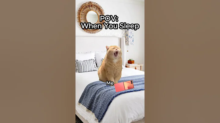 Video 11904761: funny cat sleeping