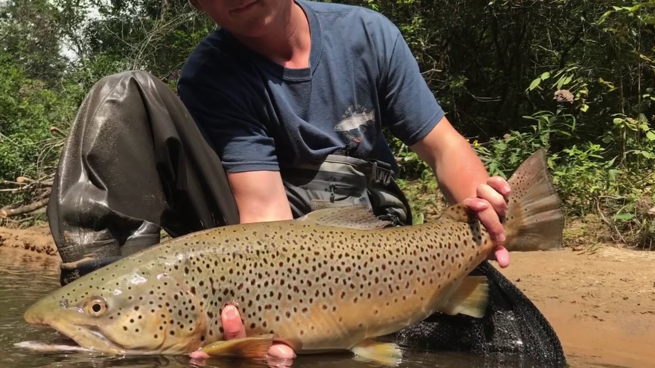 North Georgia guided fly fishing - YouTube