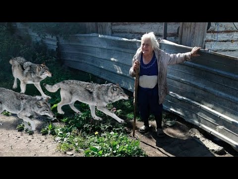 Видео: Как да отворите погребални услуги