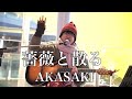 薔薇と散る AKASAKI オリジナル曲 弾き語り渋谷路上ライブ 薔薇と散る AKASAKI オリジナル曲 弾き語り渋谷路上ライブ