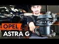 How to change front strut mount / top munt OPEL ASTRA G CC (F48, F08) [TUTORIAL AUTODOC]