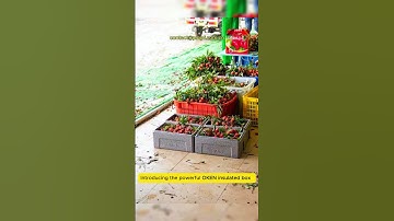 EPP foam box for fresh  fruit packaging