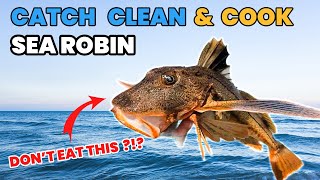 Sea Robin - Catch N Cook ( Taste Test )