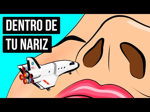 Vídeo: Vivir Sin Sentido Del Olfato: Cómo Es Y Qué Puedes Hacer