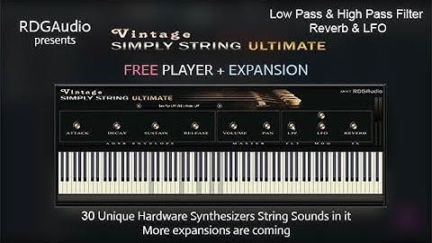 Vintage Simply String Ultimate AU VST FREE Player + Expansion RDGAudio