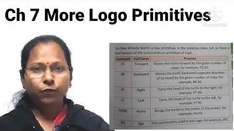 Class 3/ch 7/More logo Primitives/PPS