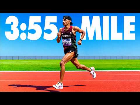 What Marathon Record Training Actually Looks Like