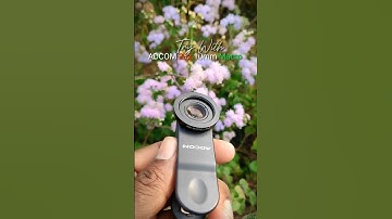 ADCOM 20x Macro Lense Closeup Macro Photography 📷🌿 #shorts #macrophotography #naturephotography