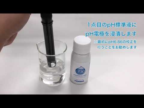 ポータブル/ハンディpHセット】フィールド型ポータブル水質計