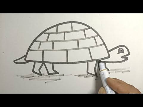 Draw A Tortoise Or Turtle From Letter D | Sketch Book Easy