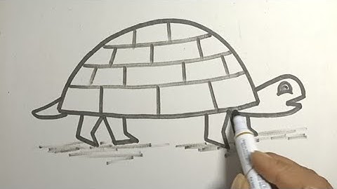 Draw A Tortoise Or Turtle From Letter D | Sketch Book Easy