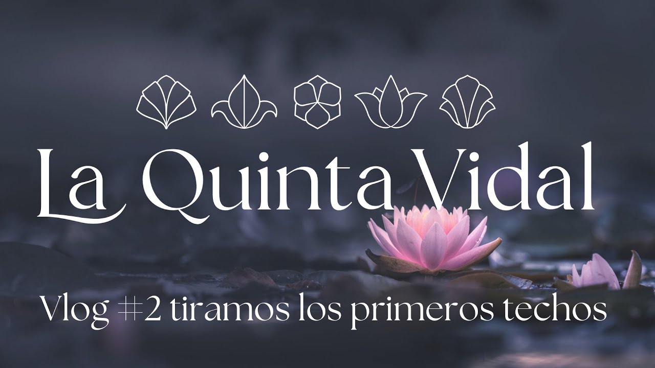La Quinta Vidal Vlog #2 tiramos los primeros tabiques de mi mansión de 1910