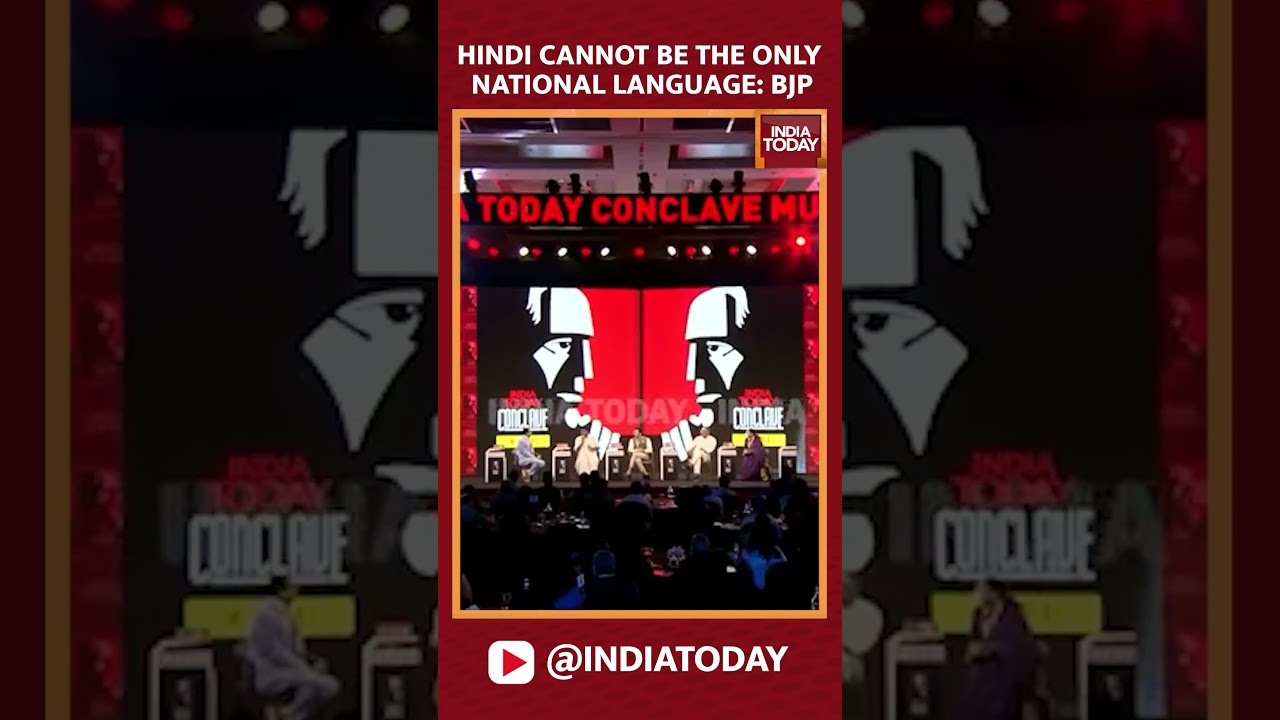 Hindi Cannot Be The Only National Language: TN BJP Chief Annamalai | 