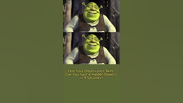 Test Your Observation Skills! Can You Spot 4 Hidden Objects in 9 Seconds?