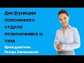 Что будет на 7 семинаре курса - Дисфункции поясничного отдела позвоночника и таза