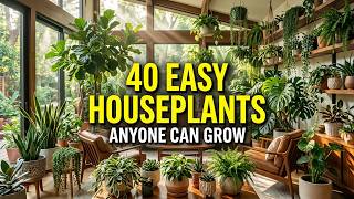 40 EASY Plants That ANYONE Can Keep Alive Inside (Super Low Maintenance)