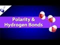 Polar Bonds and Hydrogen Bonds