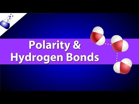 Polar Bonds and Hydrogen Bonds