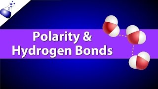 Polar Bonds and Hydrogen Bonds