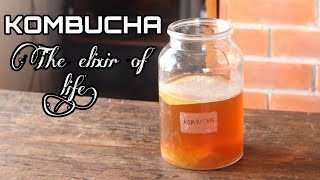 How to Make Kombucha at home? Part 1 #Kombucha