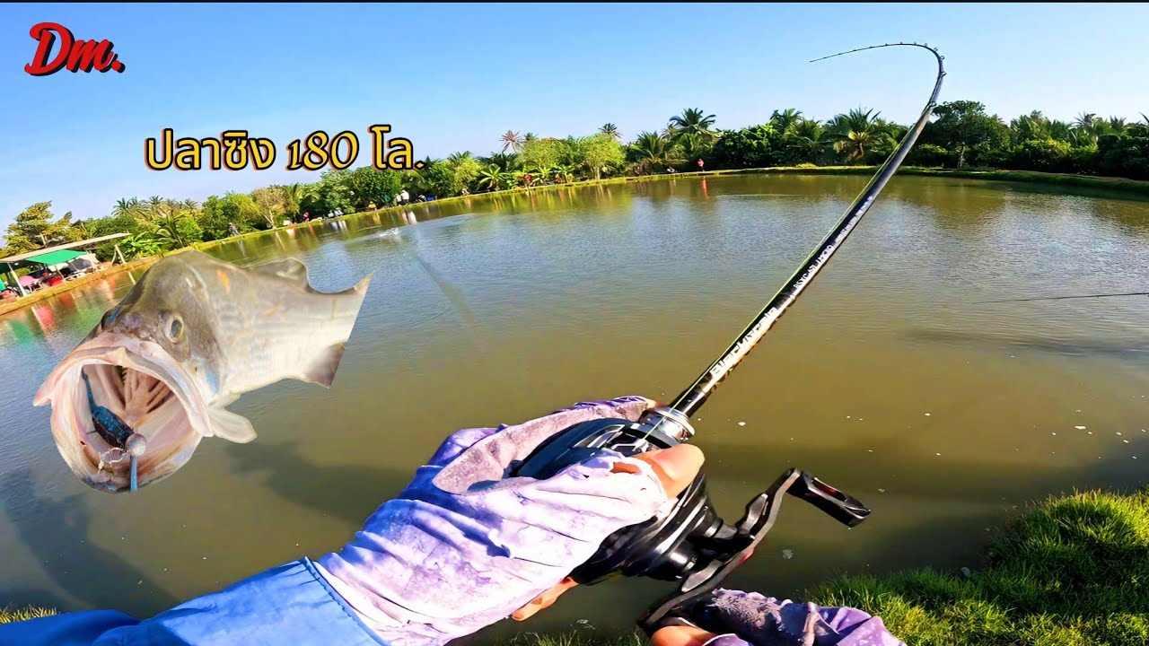 น้ำเดือดที่ [ Dm. ] 🐟🎣 #กะพงบุฟเฟต์