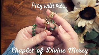 Pray with me: Chaplet of Divine Mercy | Soft-spoken prayer with responses screenshot 2