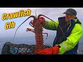 Three crayfish in one pot  rod fishing the deeps lobster season 2024