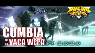 💯 CUMBIA DE LA VACA WEPA ⭐️ DJ PUCHO MASTERMIX (Kumbias con wepa - Cumbias editadas)