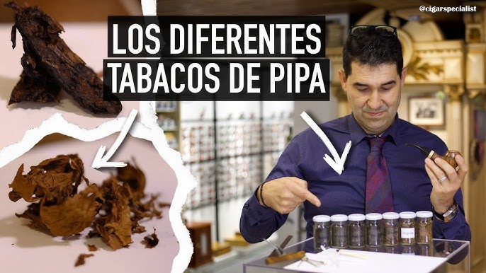 TIPOS DE PIPAS: FORMAS, ESTILOS Y DISEÑOS – PIPA & BARBA OFFICIAL